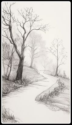 a pencil drawing of a path in the woods