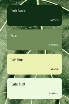 Business Color Palettes: Inspiration for Branding &amp; Web Design Green Tone Palette, Natural Branding Design Color Palettes, Nature Green Color Palette, Brand Identity Colors Green, Natural Green Color Palette, Nature Palette Color, Eco Friendly Color Palette, Sustainable Color Palette, Matcha Color Palette