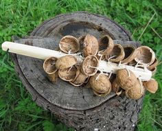 a bunch of nuts sitting on top of a piece of wood next to a stick