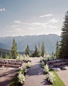 an instagram photo with benches and flowers in the foreground, mountains in the background