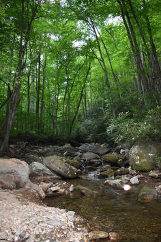 a stream running through a forest filled with lots of rocks and green trees in the background