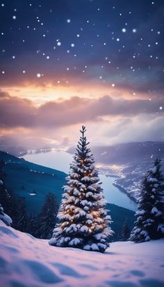 a christmas tree in the middle of a snowy field with snow flakes on it