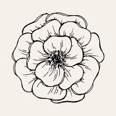 a black and white drawing of a flower