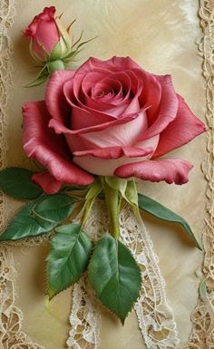 a pink rose sitting on top of a lace doily