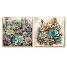 two paintings with succulents on them