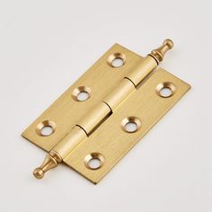 brass plated door hinges on white background