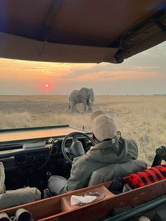 two people are sitting in the back of a vehicle watching an elephant on the savannah