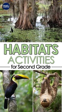 the cover of habitats activities for second grade students with pictures of trees, plants and animals