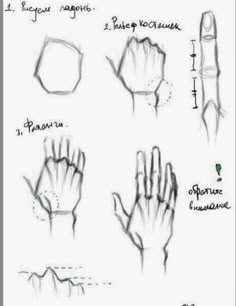 the steps to drawing hands and fingers