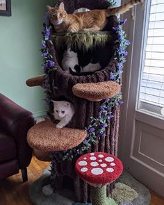 two cats sitting on top of a cat tree