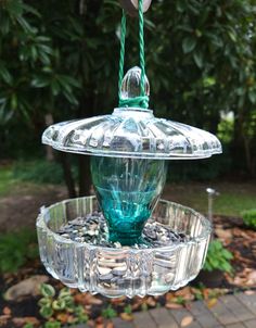 a glass bird feeder hanging from a tree