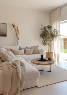 a living room with a couch, coffee table and potted plant in the corner