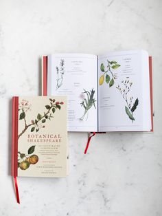 an open book sitting on top of a white counter next to a plant and fruit