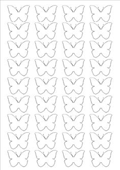 the outlines for butterfly shapes are shown in black and white, with one line drawn out