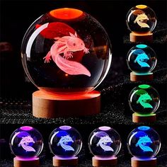 an animal in a glass ball with different colors