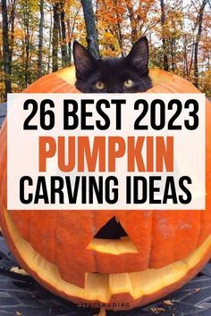 a black cat sitting on top of a pumpkin with the words, best 223 pumpkin carving ideas