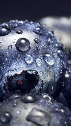 some blueberries with water droplets on them