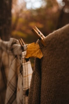 the clothes are hanging up outside in the fall or early autumn season, with leaves attached to them