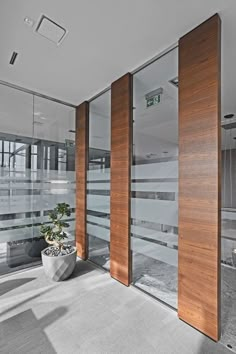 an empty room with glass walls and wooden doors on the outside, along with a potted plant