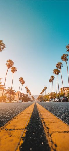 an empty street lined with palm trees and buildings