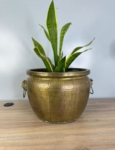 a potted plant sitting on top of a wooden table