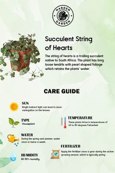 an info sheet describing different types of plants and their uses in the plant life cycle