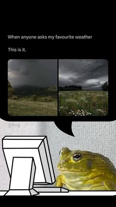 a frog sitting on top of a table next to a computer screen with the caption'when anyone asks my favorite weather, this is it '