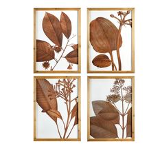 four framed pictures with leaves and flowers in them