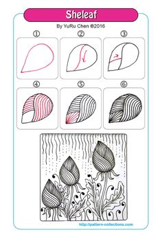 the instructions for how to draw shells