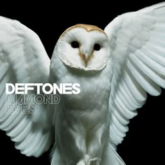 an owl with its wings spread out and the words deftones diamond eyes