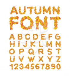 an autumn font and numbers made out of orange leaves on a white background with the letters in