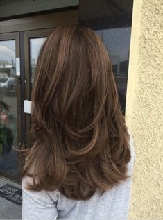 Hair Cut 2024 Girl, Hair Cut Style For Girls 2023, U Shape Layered Haircut, Layered Long Brown Hair, Brown Hair Butterfly Cut, Viviane Audi Hair, Light Layers Haircut, Butterfly Haircut Brown Hair, Straight Brown Hair With Layers