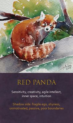 a watercolor painting of a red panda sitting on a tree branch with the caption reads, red panda creativity, creativity, agile