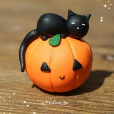 a black cat laying on top of an orange pumpkin