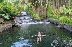 a person swimming in a river surrounded by trees and plants, with a waterfall behind them