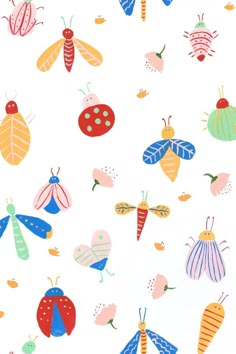 colorful bugs and ladybugs on white background with red, yellow, blue, green, orange