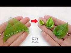 two hands holding small green leaves and one is showing how to fold the leaf out