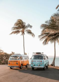 two vans are parked on the side of the road near some palm trees and water