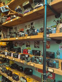 many cameras are on shelves in a store