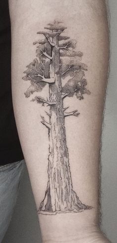 a man's arm with a tree tattoo on it