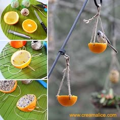 oranges are being suspended from the branches by scissors and other things to make them look like fruit