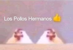 two white chickens sitting next to each other with the words los pollos hermanos