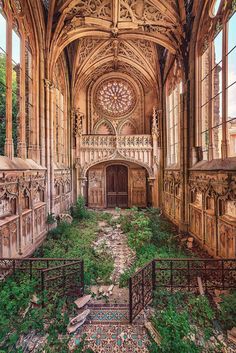 the inside of an old building with ivy growing on the ground and stairs leading up to it