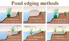 four different stages of pond edging