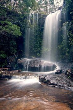 a waterfall in the middle of a forest filled with lots of trees and water flowing over rocks