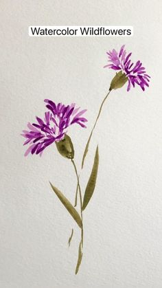 watercolor wildflowers on white paper with green stems