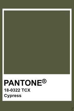 the pantone color is shown in olive green