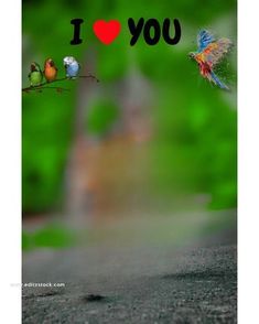 i love you card with birds on a branch