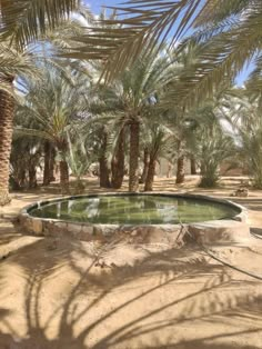 Siwa Oasis, Cairo to Siwa, Siwa Egypt, a trip to siwa, siwa safari tours, siwa oasis desert safari, Deluxe Travel Egypt, Deluxe Tours Egypt Desert Oasis Aesthetic, Egypt Oasis, Oasis Aesthetic, Travel Egypt, Desert Resort