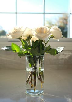 a vase filled with white roses sitting on top of a table next to a window